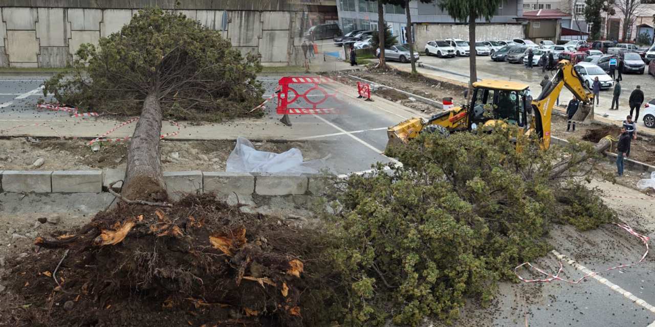 Rize’de fırtına ortalığı birbirine kattı! Devrilen araçlar yolu kapattı