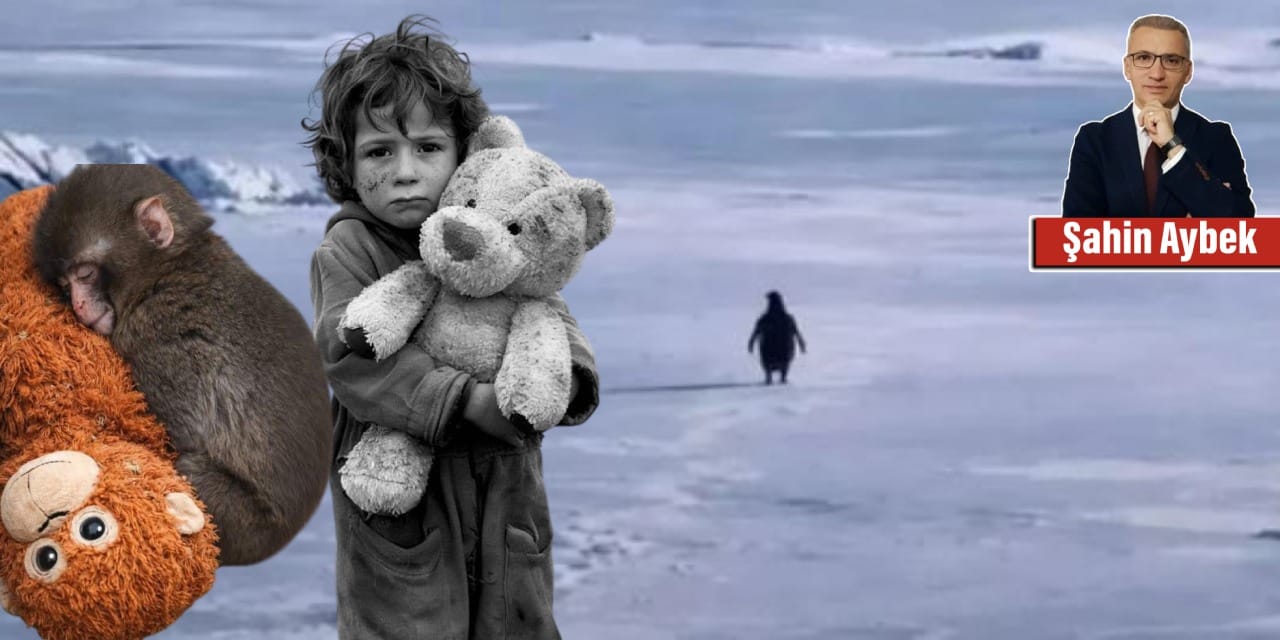 Aykırı Penguen’den Maymun Punch’a ve insana uzanan yalnızlık hikâyesi: Bir oyuncak maymuna sarılan insanlık