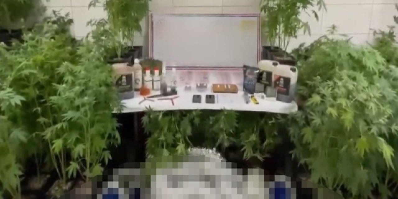 Bursa'da uyuşturucu operasyonu: Kiloyla ele geçirildi