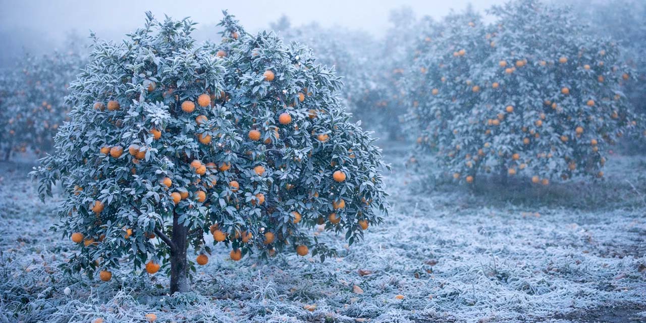 Meteoroloji yayınladı: Büyük tehlike ortaya çıktı