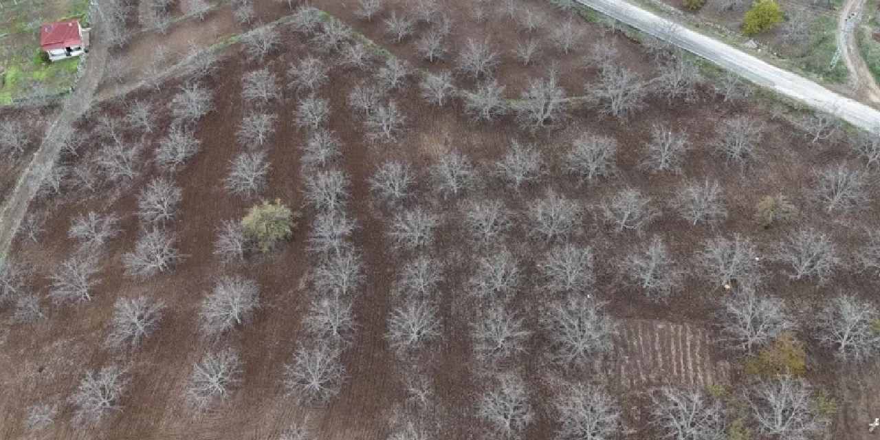 Meteoroloji yayınladı: Büyük tehlike ortaya çıktı