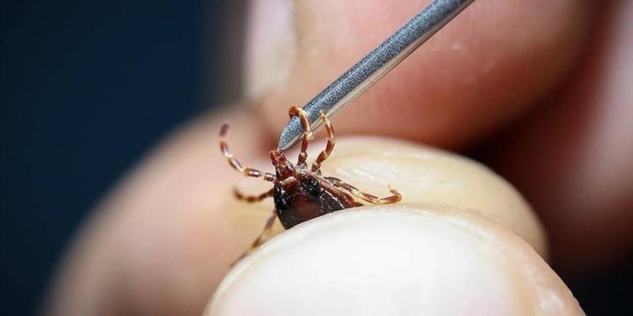 Kamp gezisi kabusa döndü: 16 yaşındaki genç 'memeli hayvan eti alerjisi' nedeniyle hayatını kaybetti