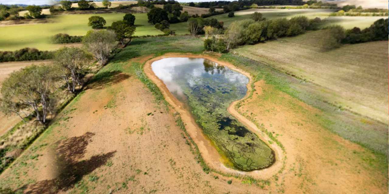 Ünlü çift son anda vazgeçti: 447 milyon lirayı gözden çıkarmışlardı