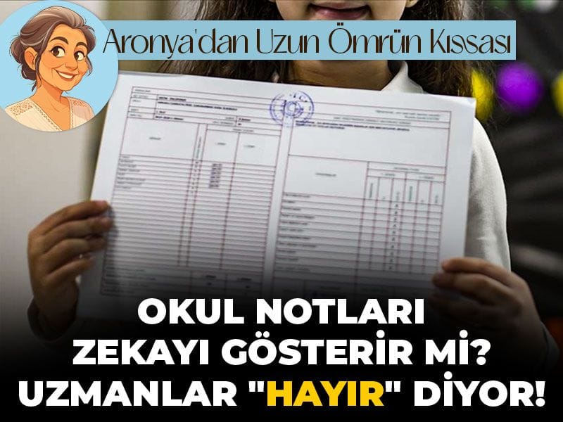 Okul notları zeka göstergesi mi? Uzmanlar "hayır" diyor!