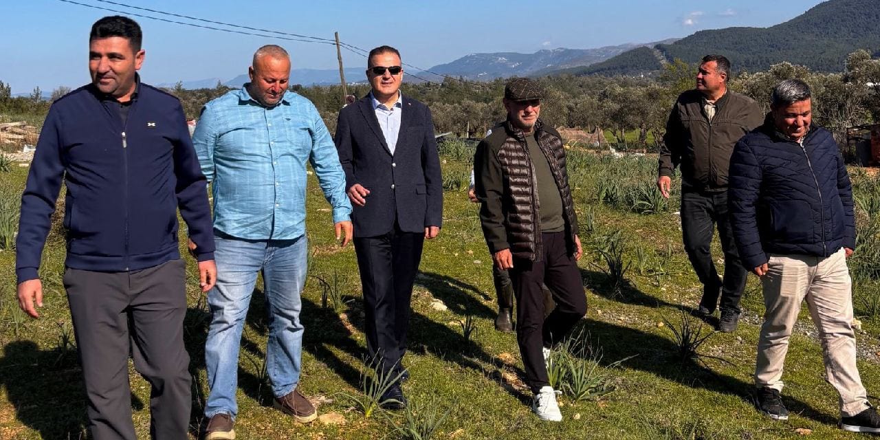 Milyarder aile gidince başkanlığa geldi: Valiyle beraber bayır bayır arazi baktı