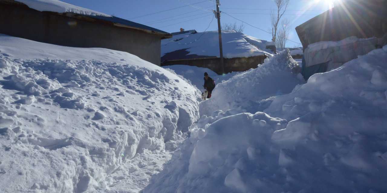 Kar kalınlığı 2 metreyi buldu! "Komşulara gitmek için tünel açıyoruz"