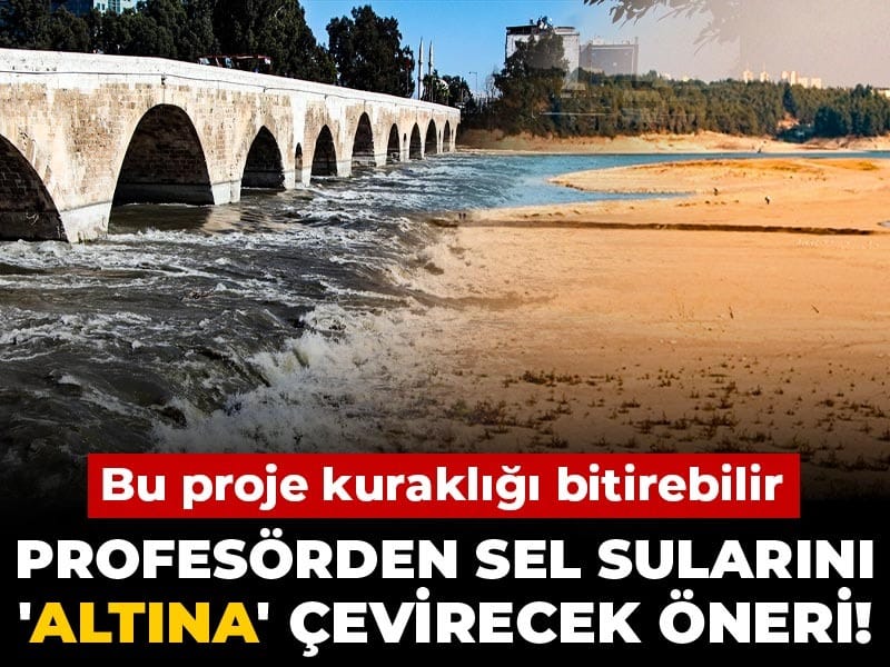 Profesörden sel sularını 'altına' çevirecek öneri! Bu proje kuraklığı bitirebilir