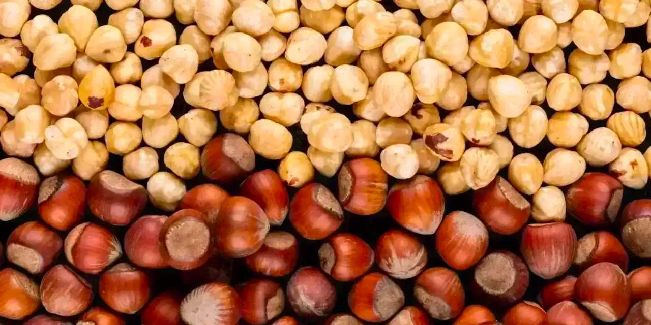 Fındığın kilosu belli oldu: Elde kalanlar 750 liraya satılacak