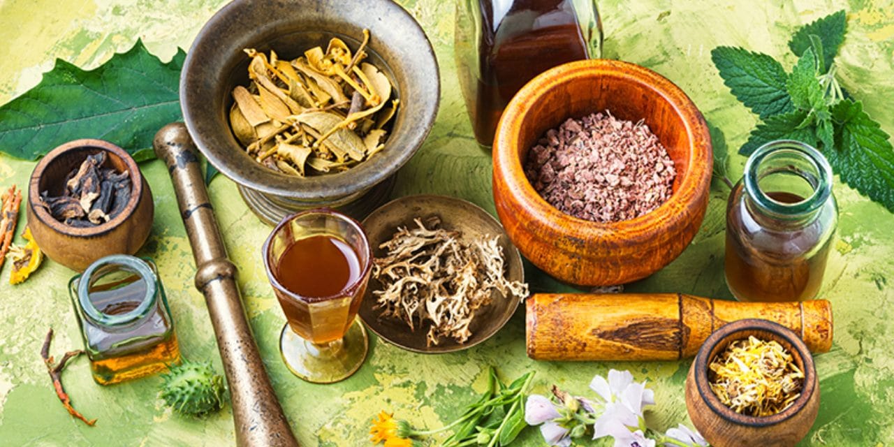 48 bin tür tehlikede: Kansere çare olan bitkiler risk altında