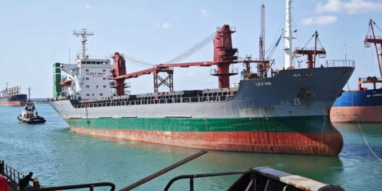 Romanya’da tutuklanan Lily-Ha Aliağa'ya satıldı