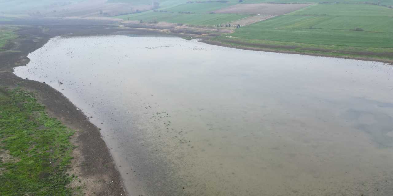 Tekirdağ’da kuruyan gölet yeniden canlandı!