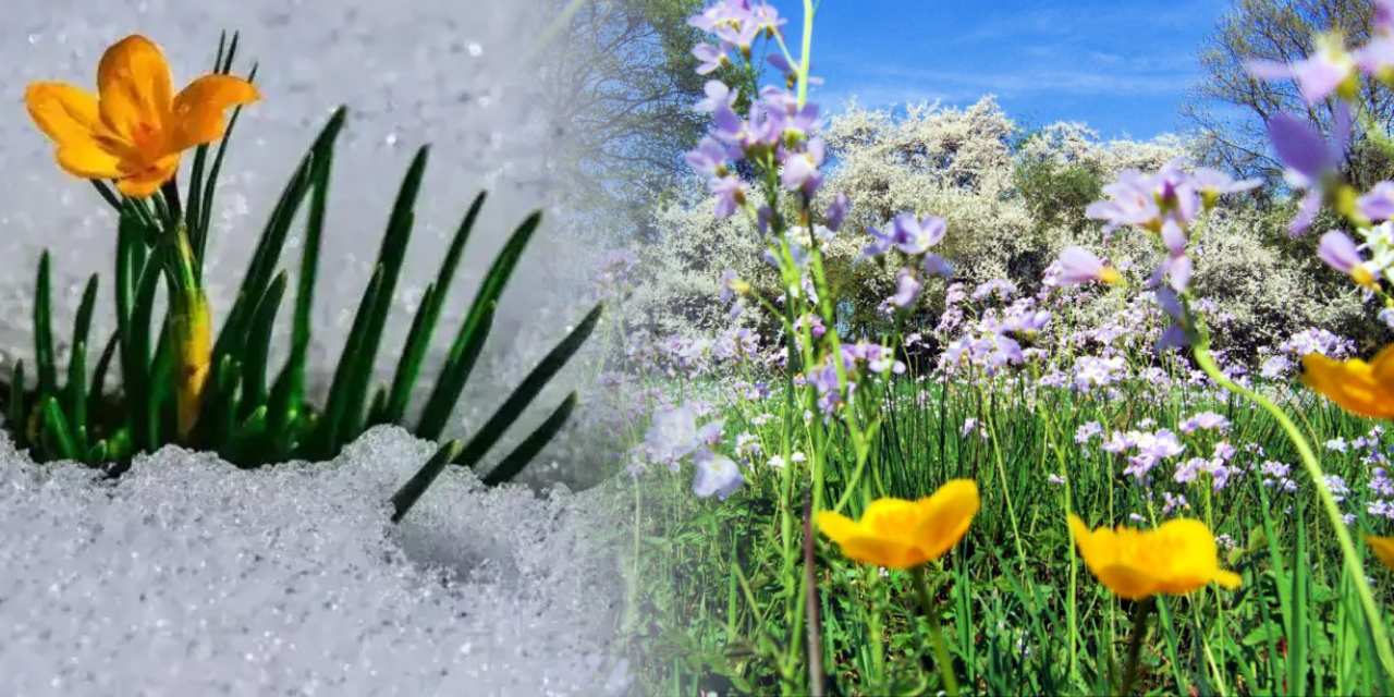 Baharın müjdecisi son cemre toprağa düştü!