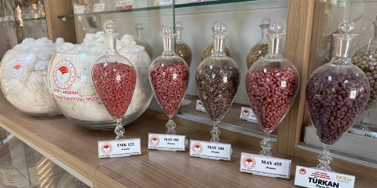 Adana'da geliştiriliyor: 13 ülkeye ihraç ediliyor