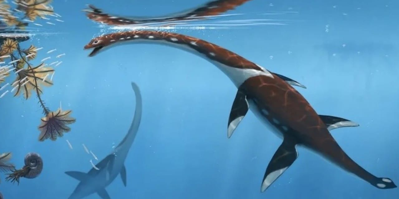 183 milyon yıllık 3 metre boyunda deniz canavarı keşfedildi
