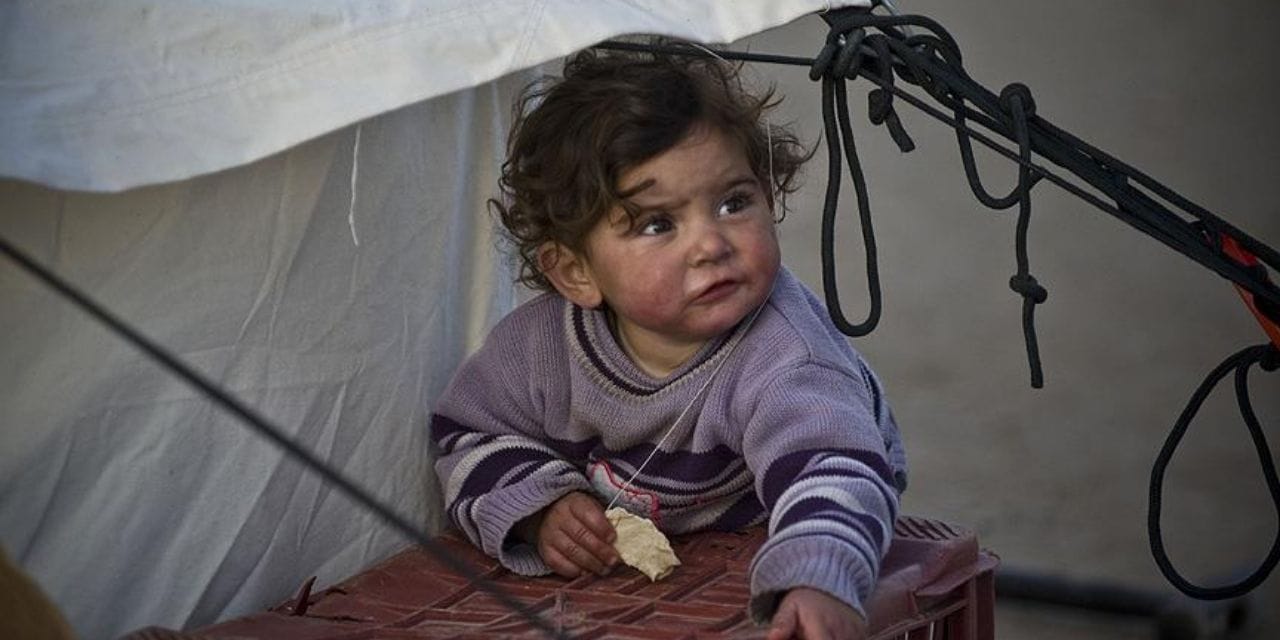 Küresel ısınmanın yeni kurbanı belli oldu: En sessiz mağdurlar onlar