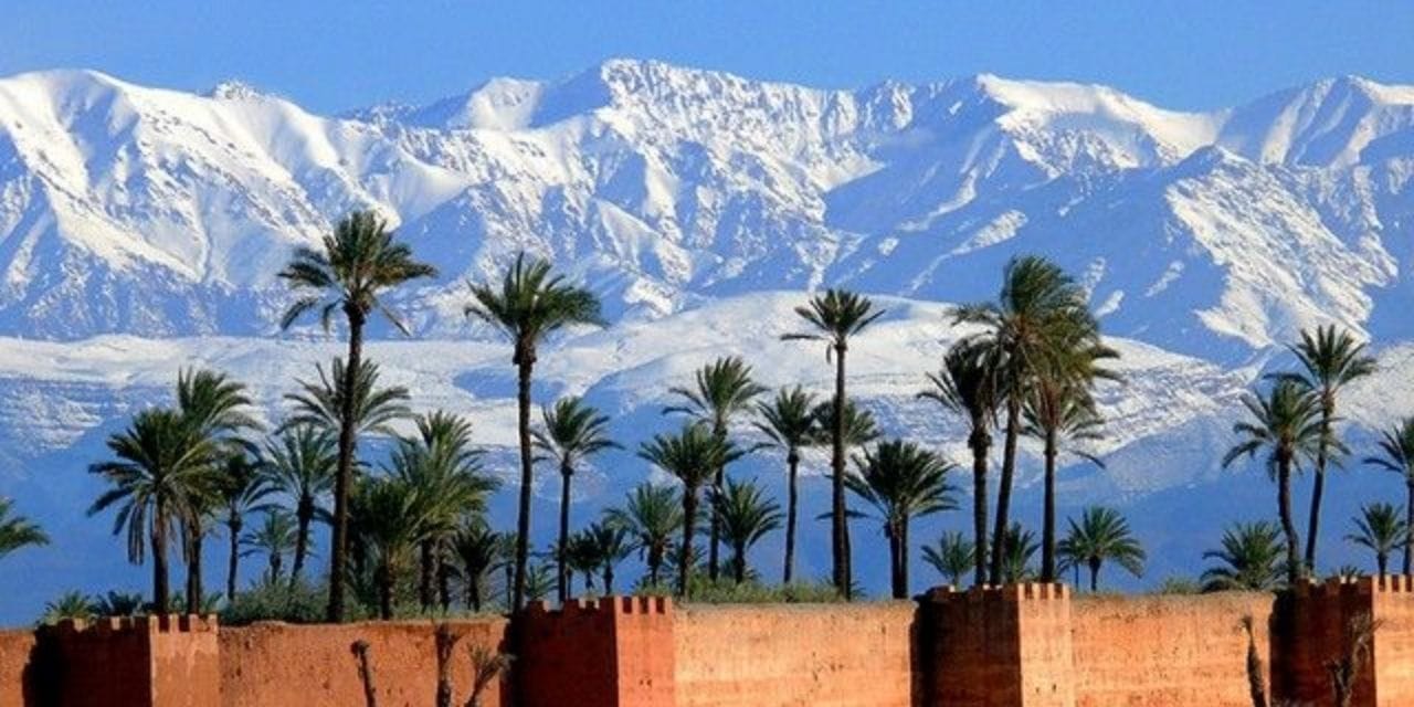 Kimse orada aramıyordu: 180 milyon yıldır gizlenen yaşam bulundu!