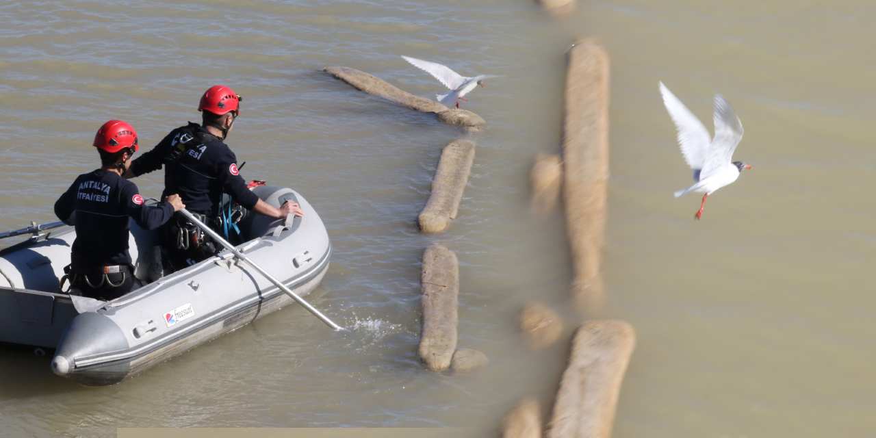 İtfaiyenin kurtardığı martı özgürlüğe uçtu!