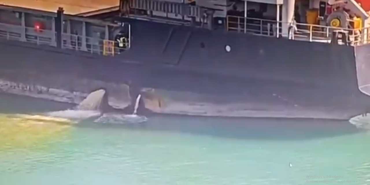 Mersin'de çevreyi kirleten gemiye rekor ceza!