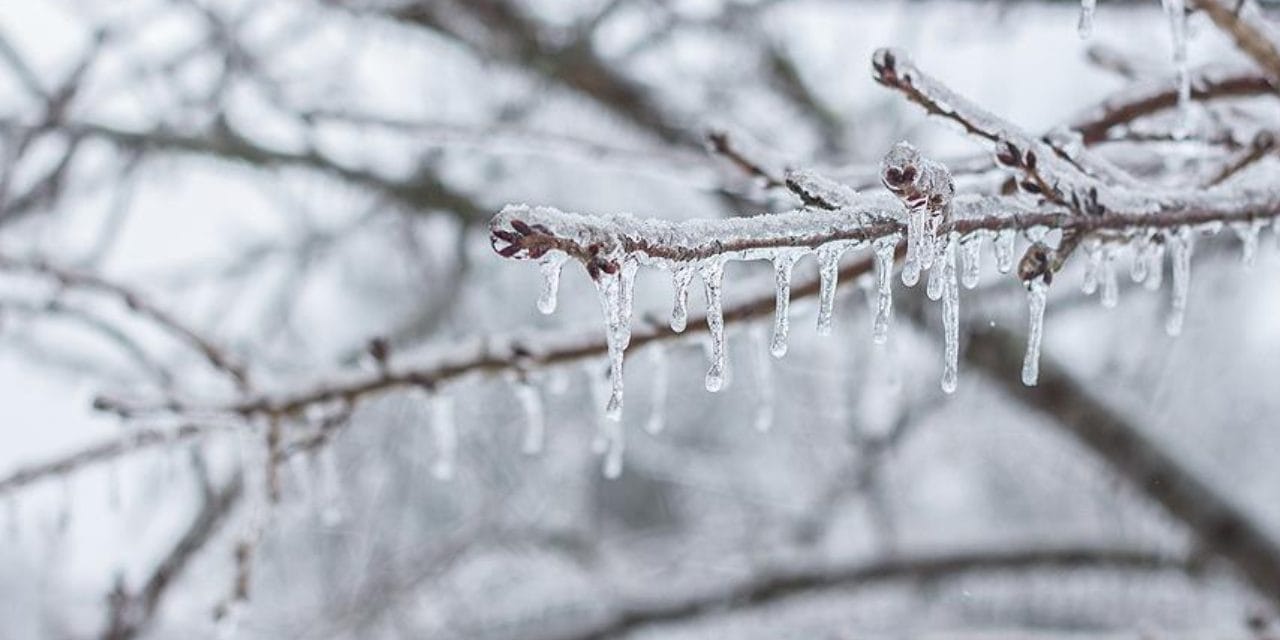 Meteoroloji duyurdu: Yağmur yok, buzlanma ve don var
