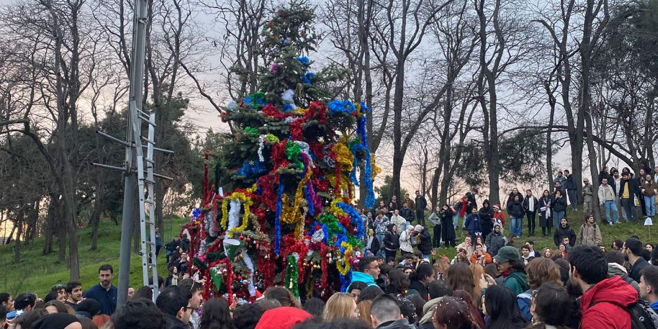 YTÜ öğrencilerine çam ağacı süslemekten suç duyurusu: Şeyh Sait detayı