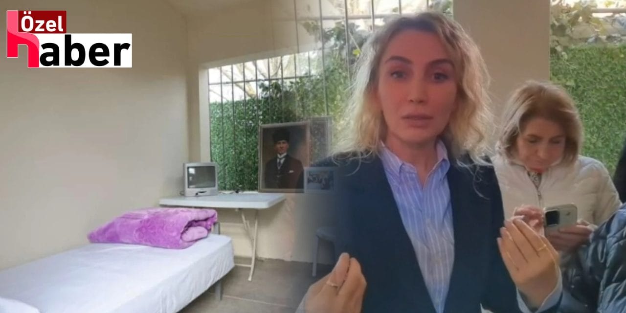 Dilek İmamoğlu, İmamoğlu'nun temsili hücresinde