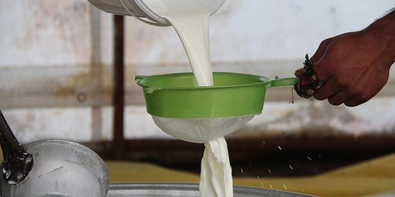 Süt üreticisinin cüzdanı eriyor: Artış asgari zammı bile gölgede bıraktı