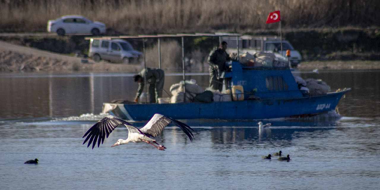 Baharın habercileri Karakaya’ya akın etti