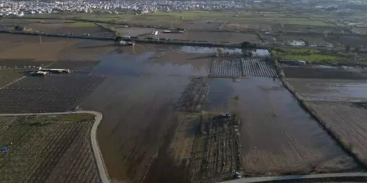 Taşkın sonrası su içinde kalmıştı: Tarım alanları yeniden gün yüzüne çıktı