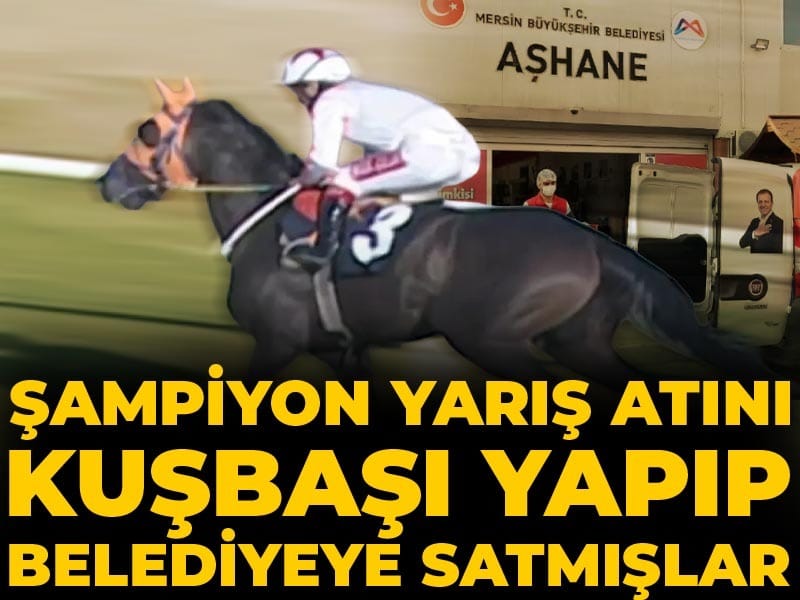 Şampiyon yarış atını kuşbaşı yapıp belediyeye satmışlar