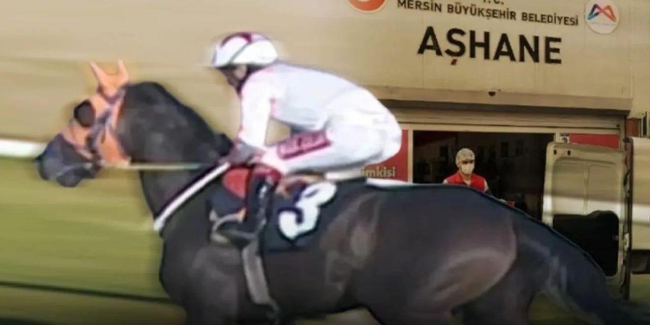 Kuşbaşı yapılan şampiyon yarış atının sahibi ortaya çıktı! "Şubeden aradılar inanamadım"