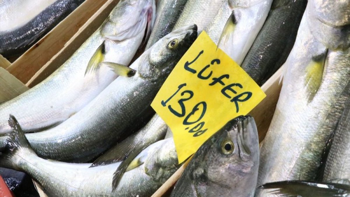 Balık cep yakıyor: İki kilo lüfer, bir gram altın