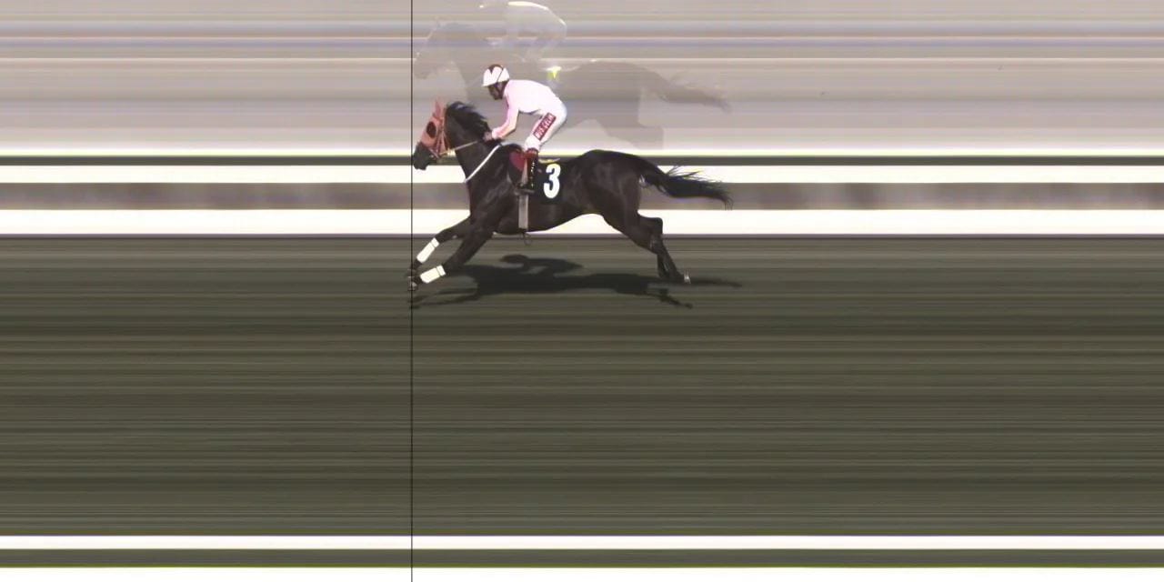 Kuşbaşı yapılan yarış atı 50 bin liraya satılmış! Kavurma yapılan bir tek o değilmiş... Latch'ın başına gelenler ortaya çıktı