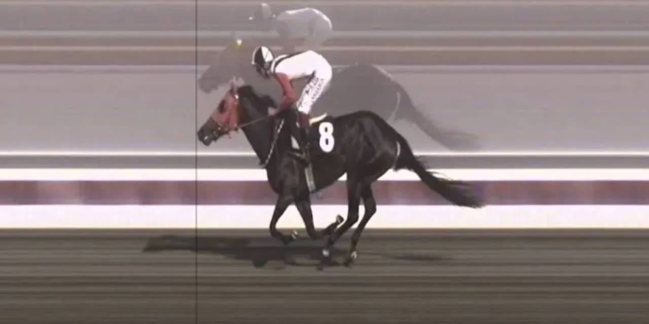 Kavurma olan İngiliz yarış atı İngiltere basınında manşet oldu!