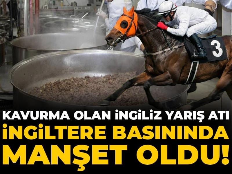 Kavurma olan İngiliz yarış atı İngiltere basınında manşet oldu!