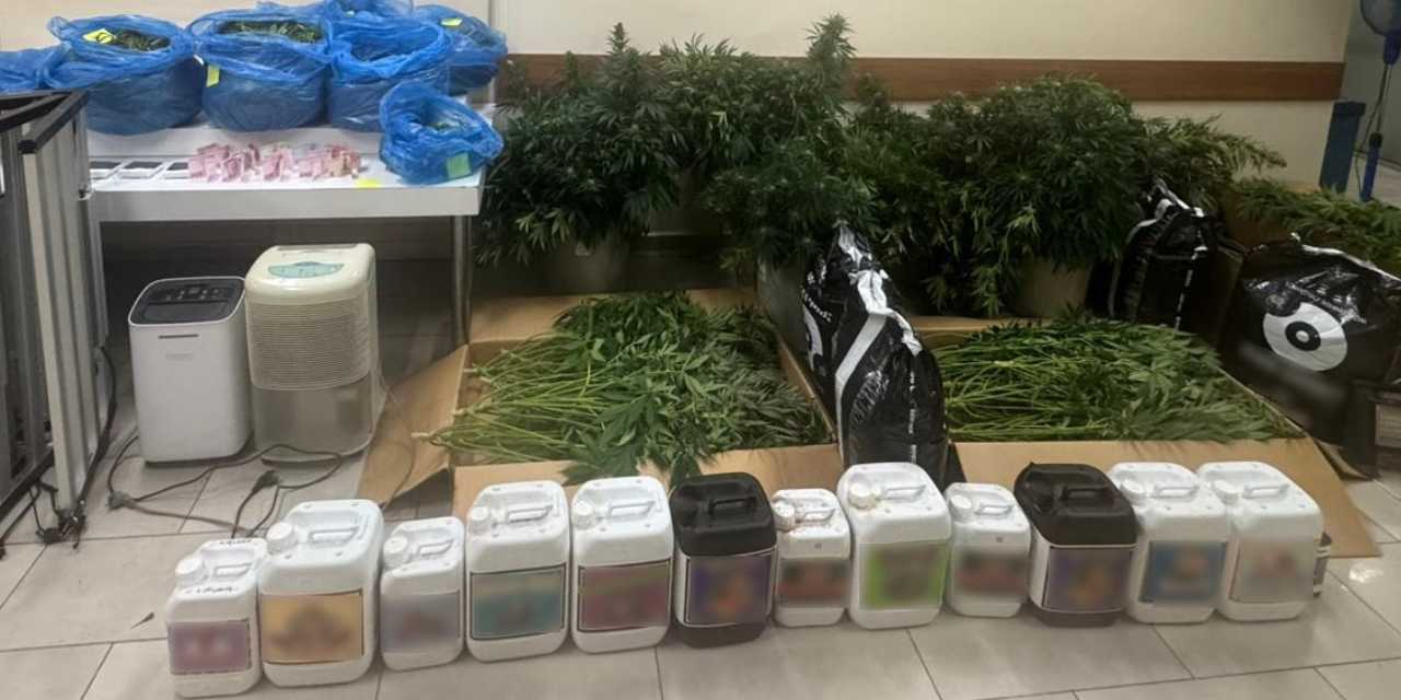 Uyuşturucu için sera kuran 3 şüpheli saklandıkları adreste yakalandı!