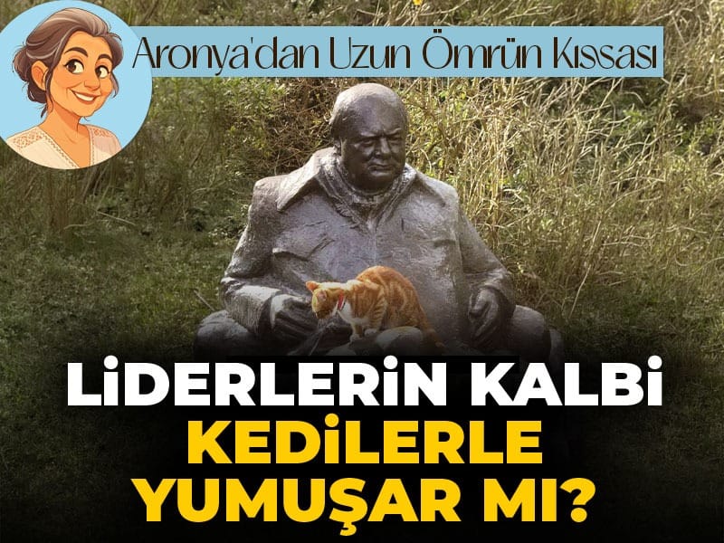 Liderlerin kalbi kedilerle yumuşar mı?