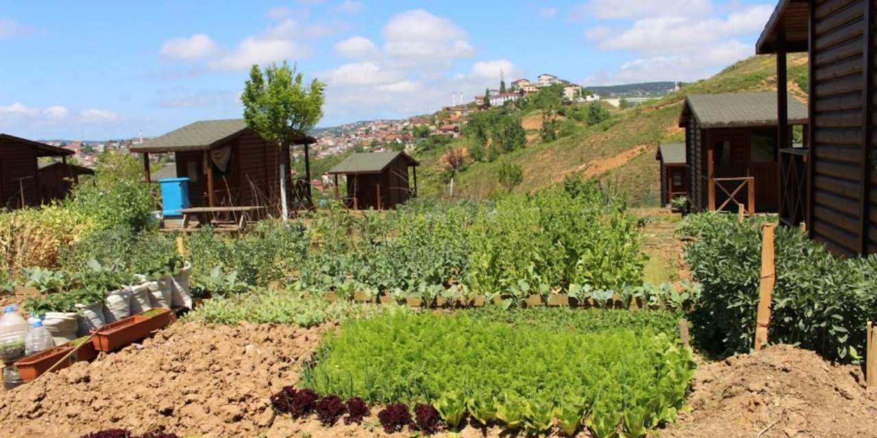 Hobi bahçesi olana aylık 100 bin lira ceza yolda: Arazi düzenlemesi geliyor