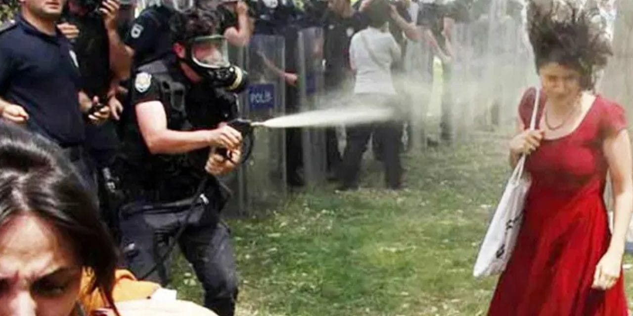 AİHM Gezi'deki 'Kırmızlı Kadın' için karar verdi