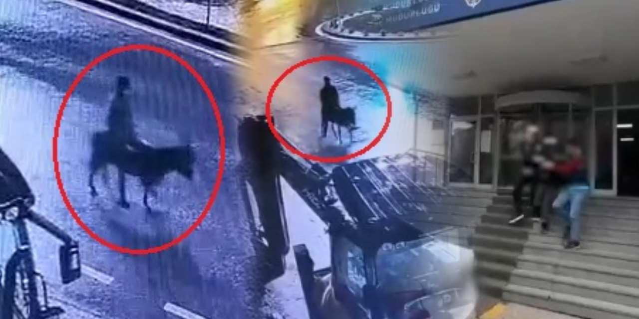 Kuyumcuyu soyup eşekle kaçmıştı! Hakkında istenen ceza belli oldu