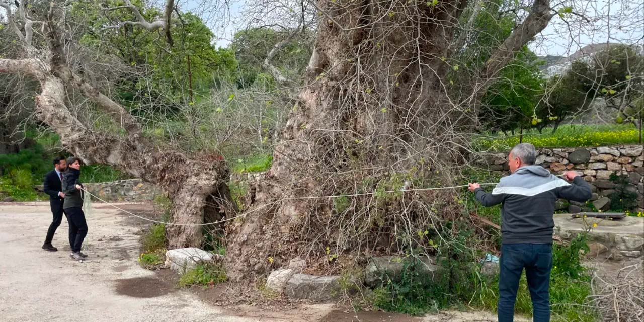 Bodrum’da yürüyüş yapanlar buldu: 2 bin yıllık olabilir