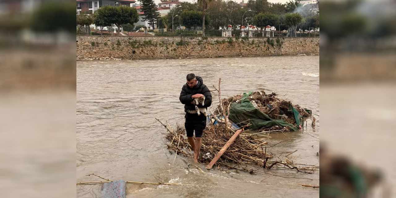 Çalıların üzerinde akıntıya kapılan kedi kurtarıldı