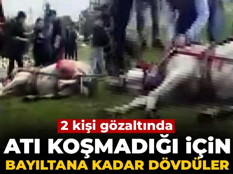 Koşmadığı gerekçesiyle atı bayıltana kadar dövdüler!