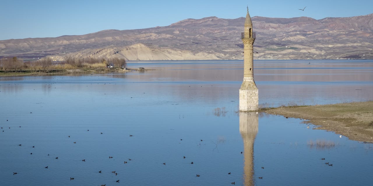 Geçen yıl hayvanlar yürüyordu: Şimdi balıklar yüzüyor