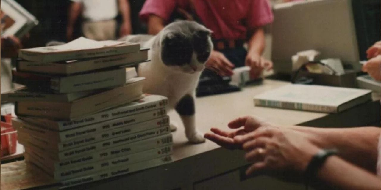 200 yıl önce kurulmuştu: İflas bayrağını çekti