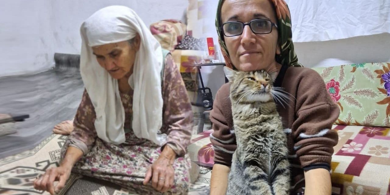 Alacak meselesi katliama dönüştü! Önce yeğenini öldürdü, sonra kardeşini ve damadını bıçakladı