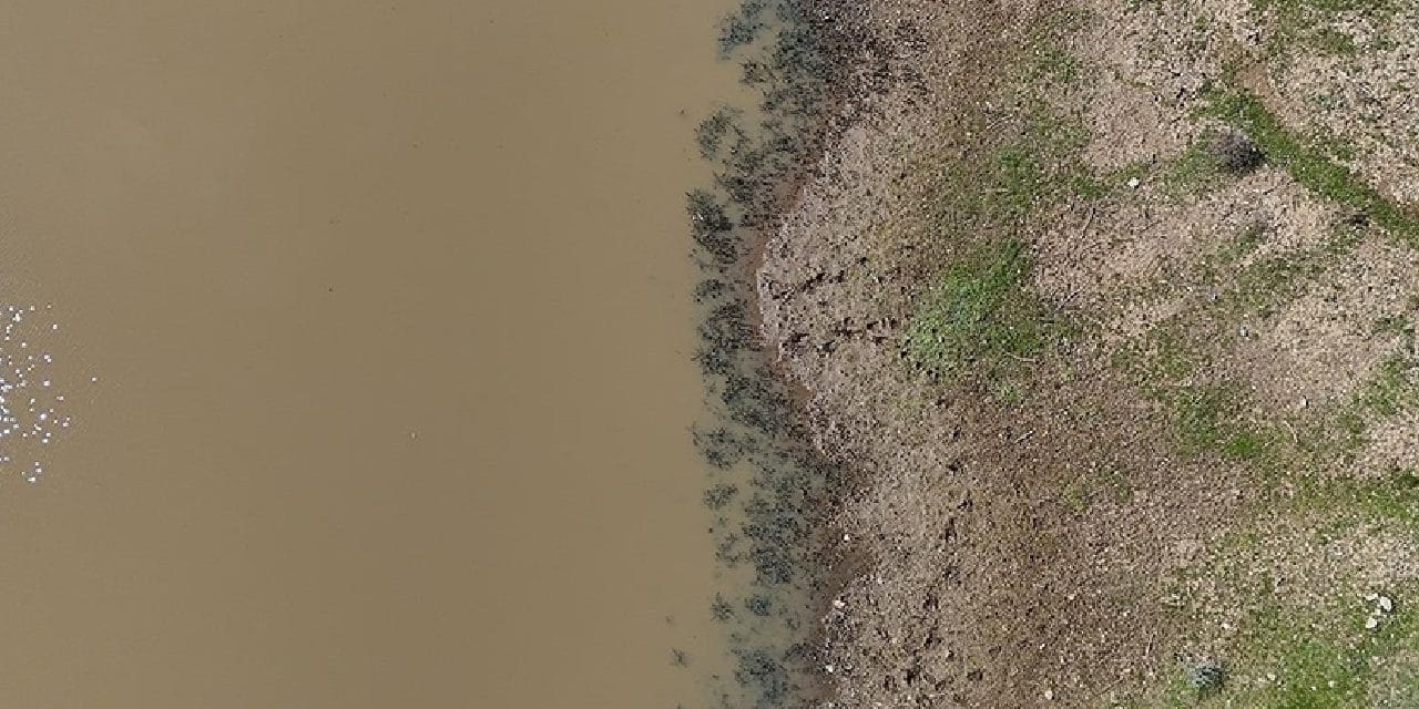 Gölet çatlamış balıklar telef olmuştu: Şimdi hayvanlar su içiyor