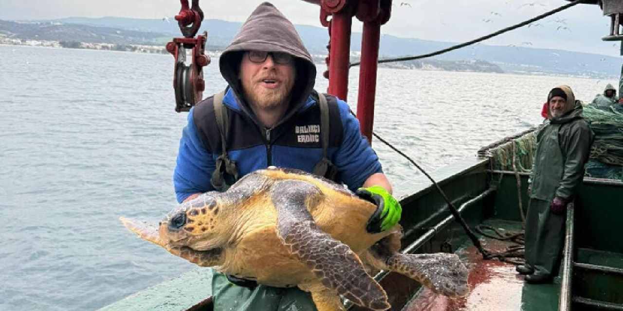 Nesli tehlike altında! Balıkçıların ağına takıldı