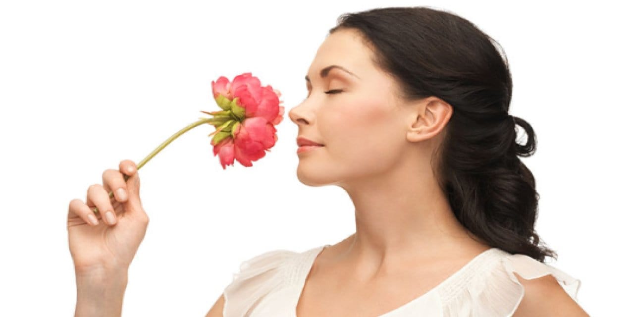 Gülü koklayamıyorsanız geçmiş ola! Koku gidince akıl da gidiyor