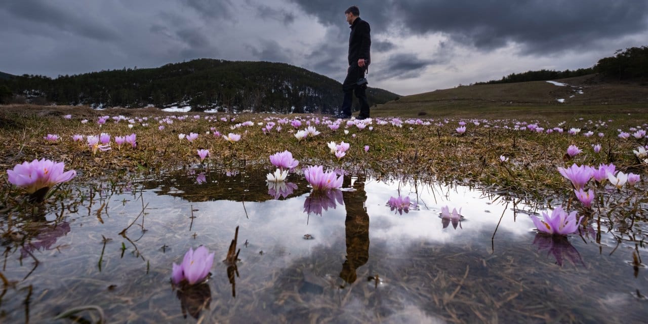 Gören hayran kalıyor: Renkler her yeri sarmış