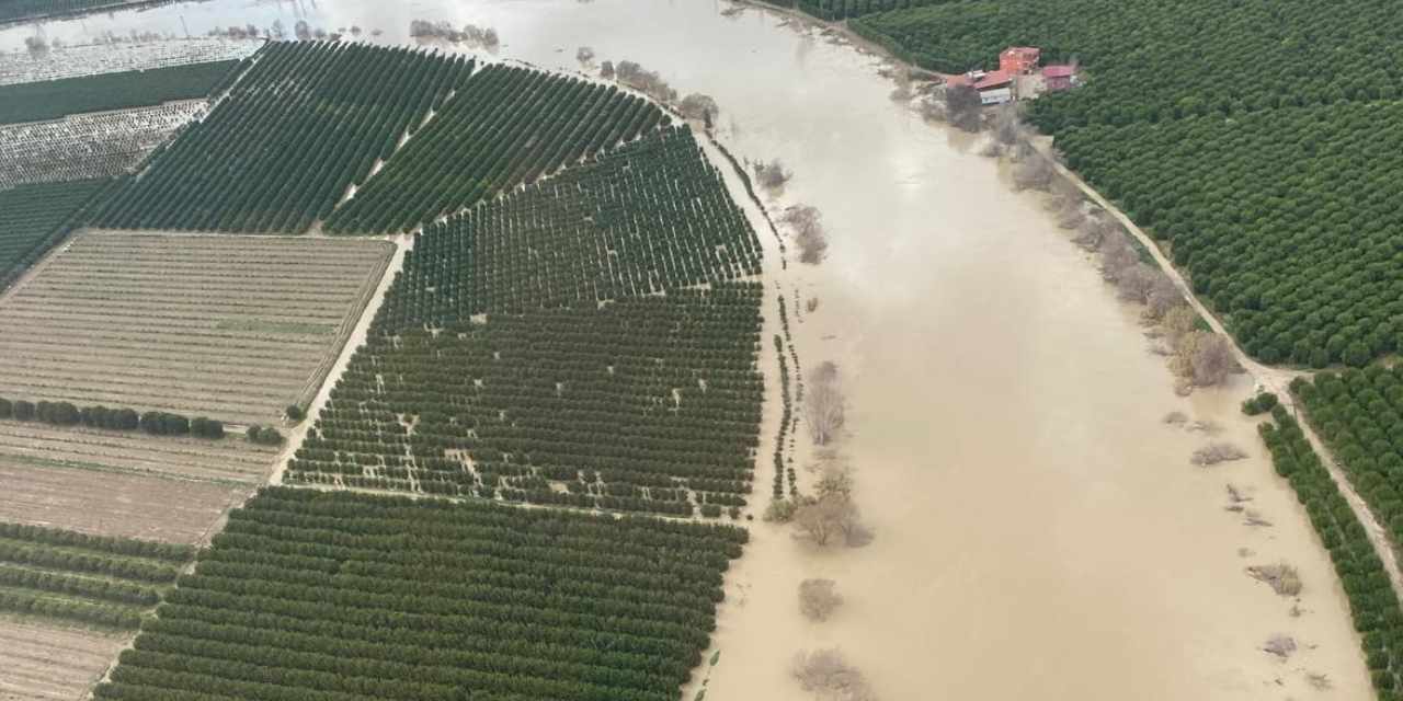 Adana'da tarım arazileri su altında kaldı: Onca emek boşa gitti!